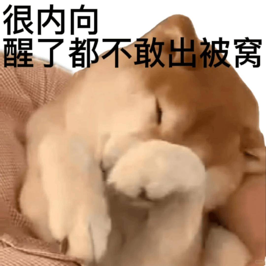 在哪舒服就在哪学！