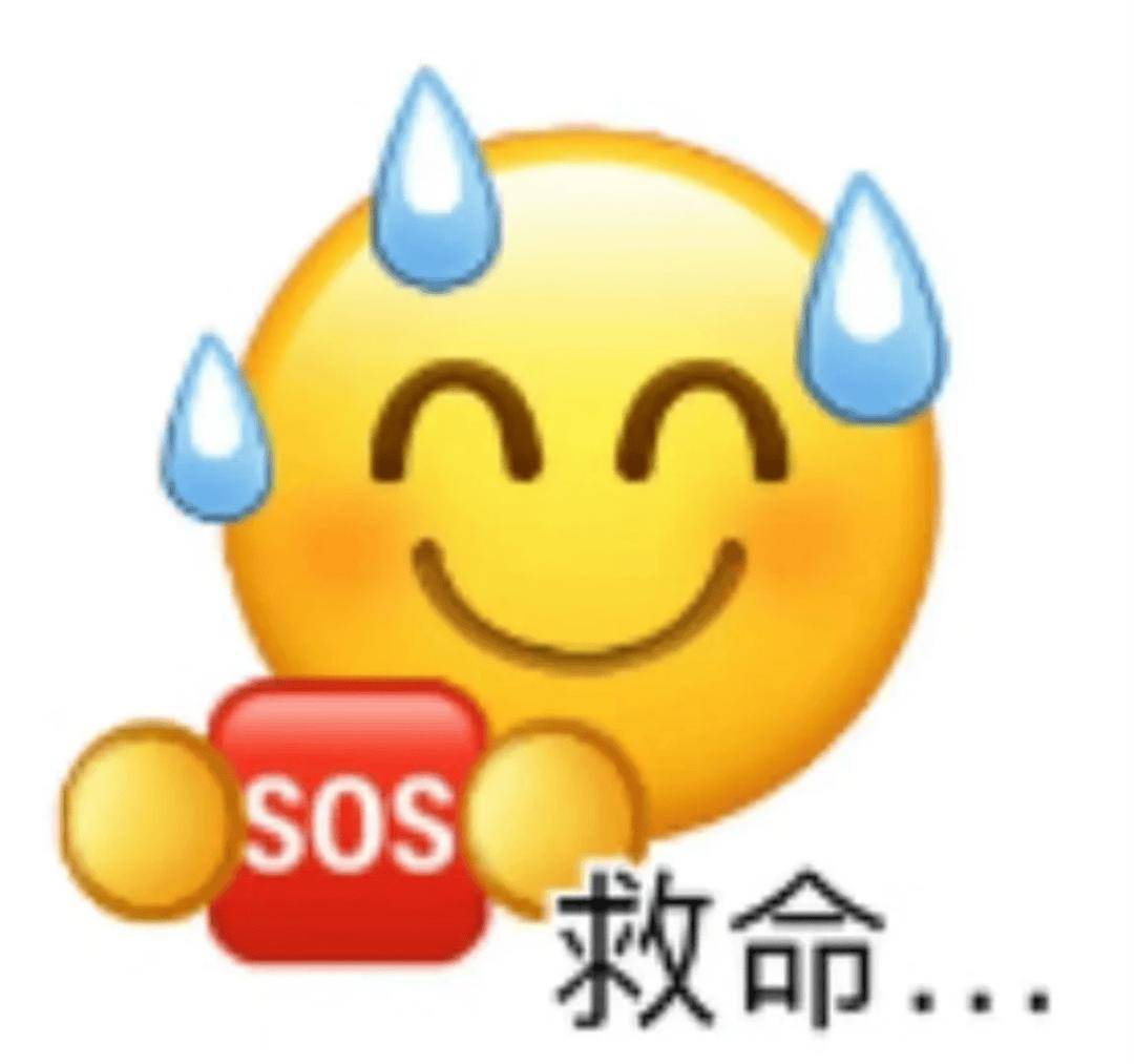 在哪舒服就在哪学！