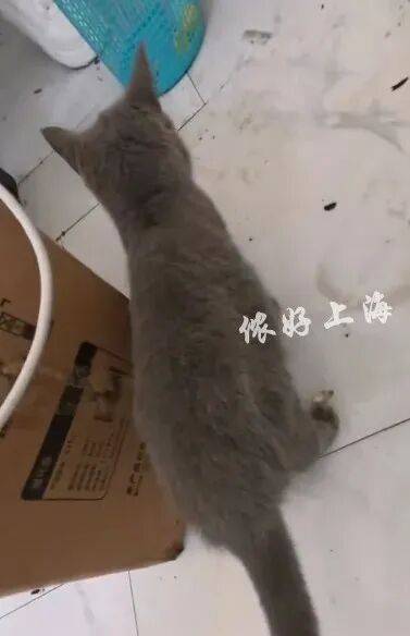 上海一房东崩溃！"00后"情侣租客失联，打开房门直呼"辣眼睛"…